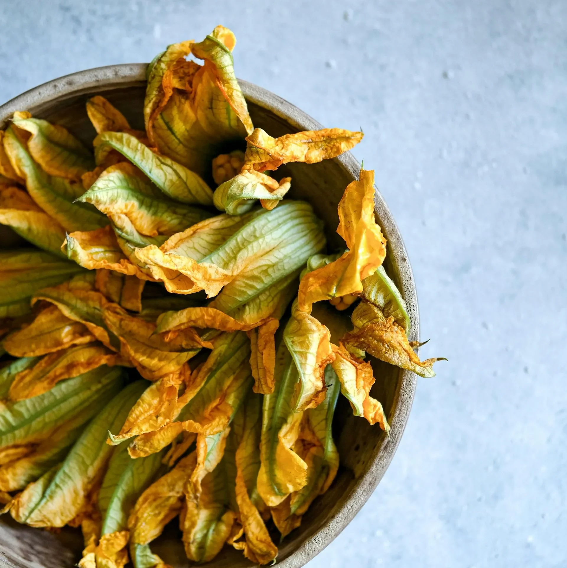eating zucchini blossoms in Venice